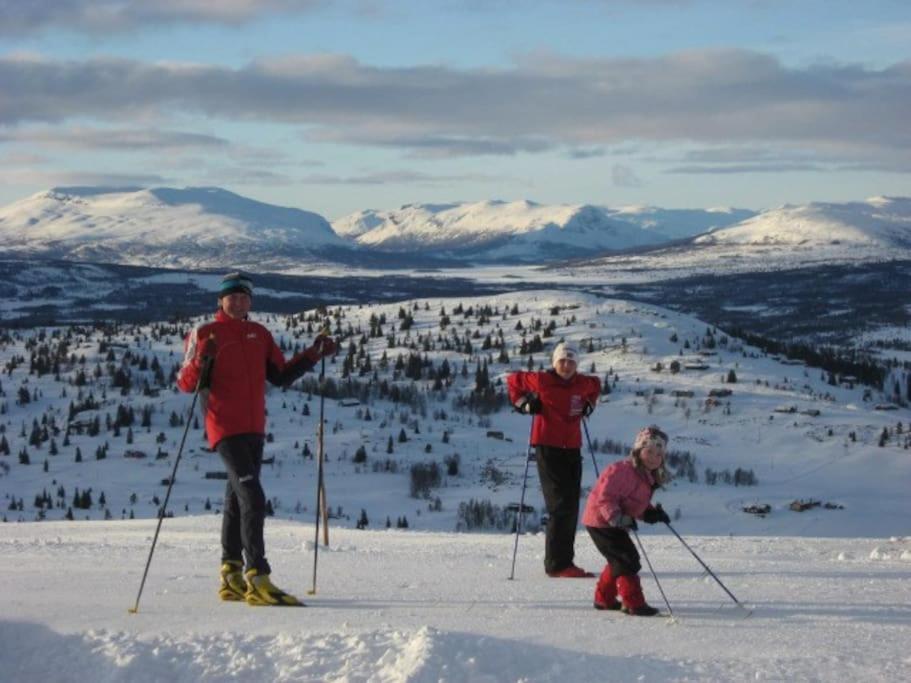 Golsfjellet - Bualie, Milevis Med Sykkelveier, Fiske Og Vannaktivitet, Ski Inn/Ut Til Alpinanlegg Og Langrennsloyper. Exterior foto